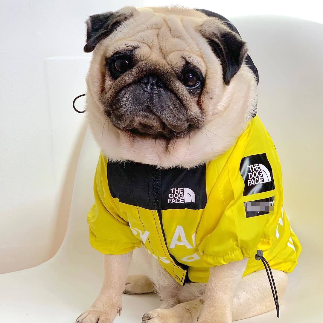 Waterproof Windbreaker for pets