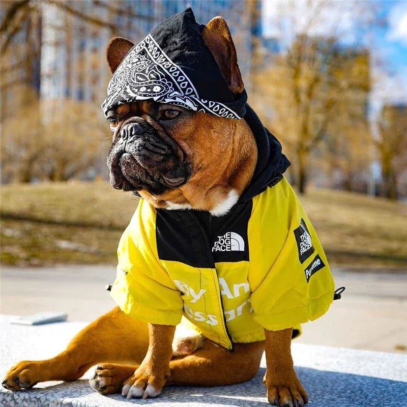 Waterproof Windbreaker for pets