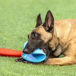 Durable dog rubber flying disc